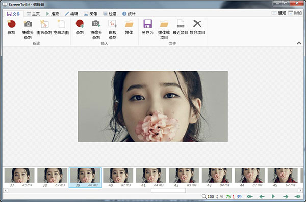 Screen To Gif便携版