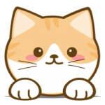 橘猫4K影视app官方版
