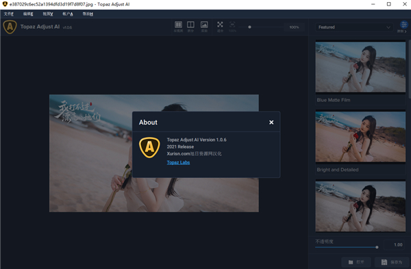 Topaz Adjust AI汉化版