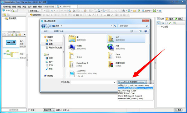 SimpleMind Pro电脑版