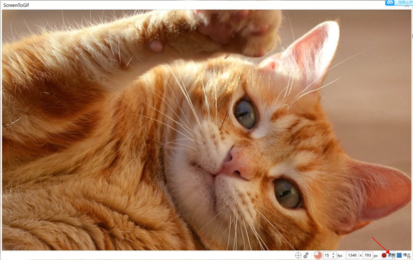 ScreenToGif绿色便携版