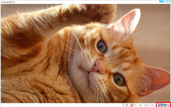 ScreenToGif绿色便携版