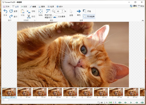 ScreenToGif绿色便携版