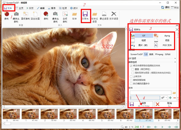ScreenToGif绿色便携版