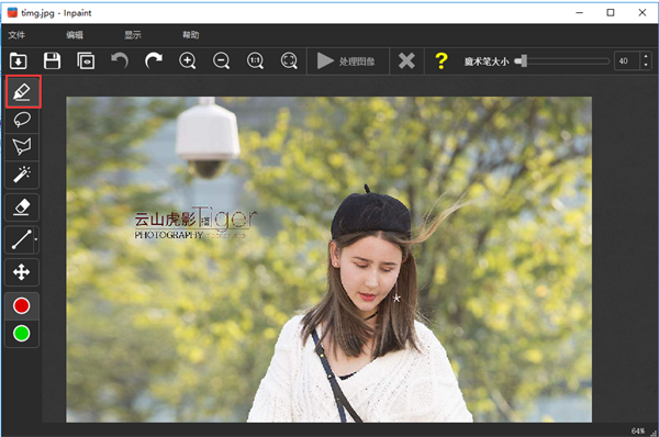 inpaint中文特别版