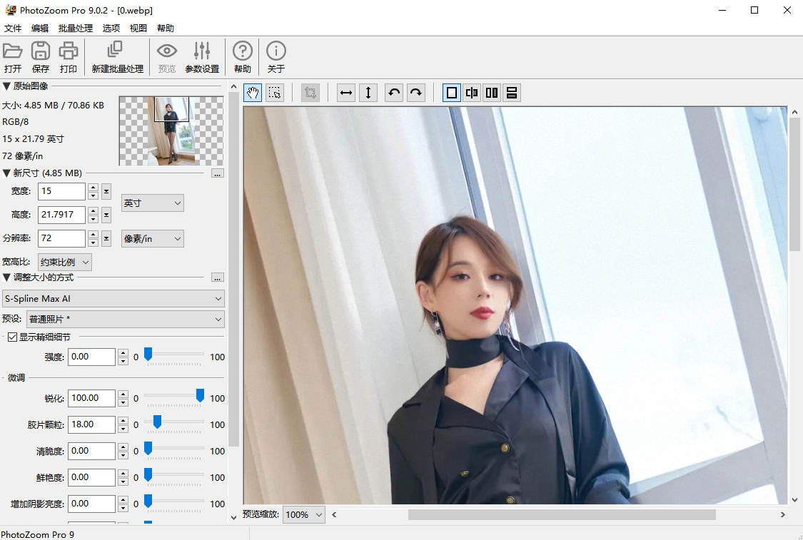 PhotoZoom Pro 9中文版