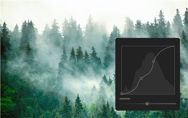 Adobe Camera Raw 15中文版