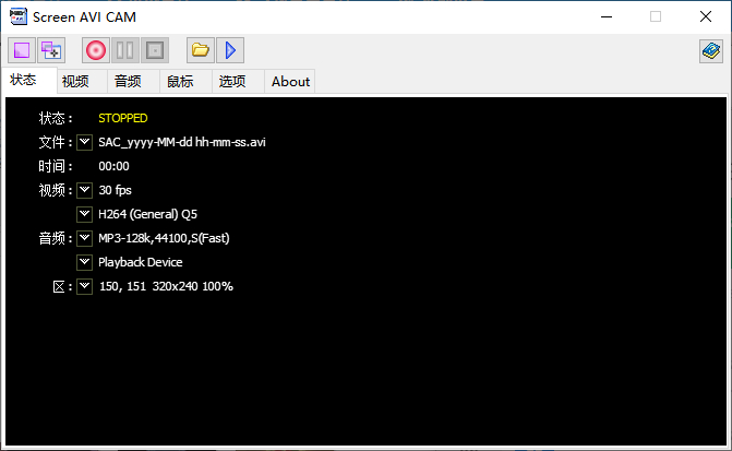 screen avi cam中文版