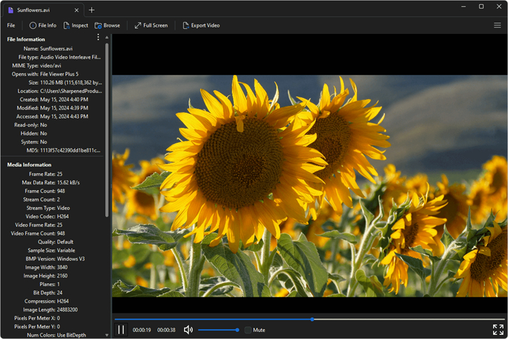 File Viewer Plus中文版